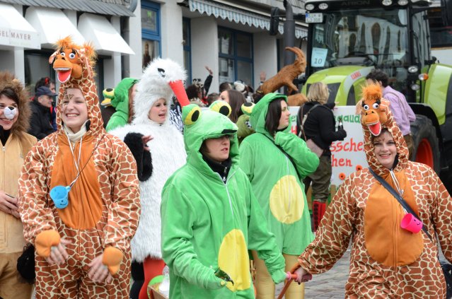 umzug simmern_140301_vb_113